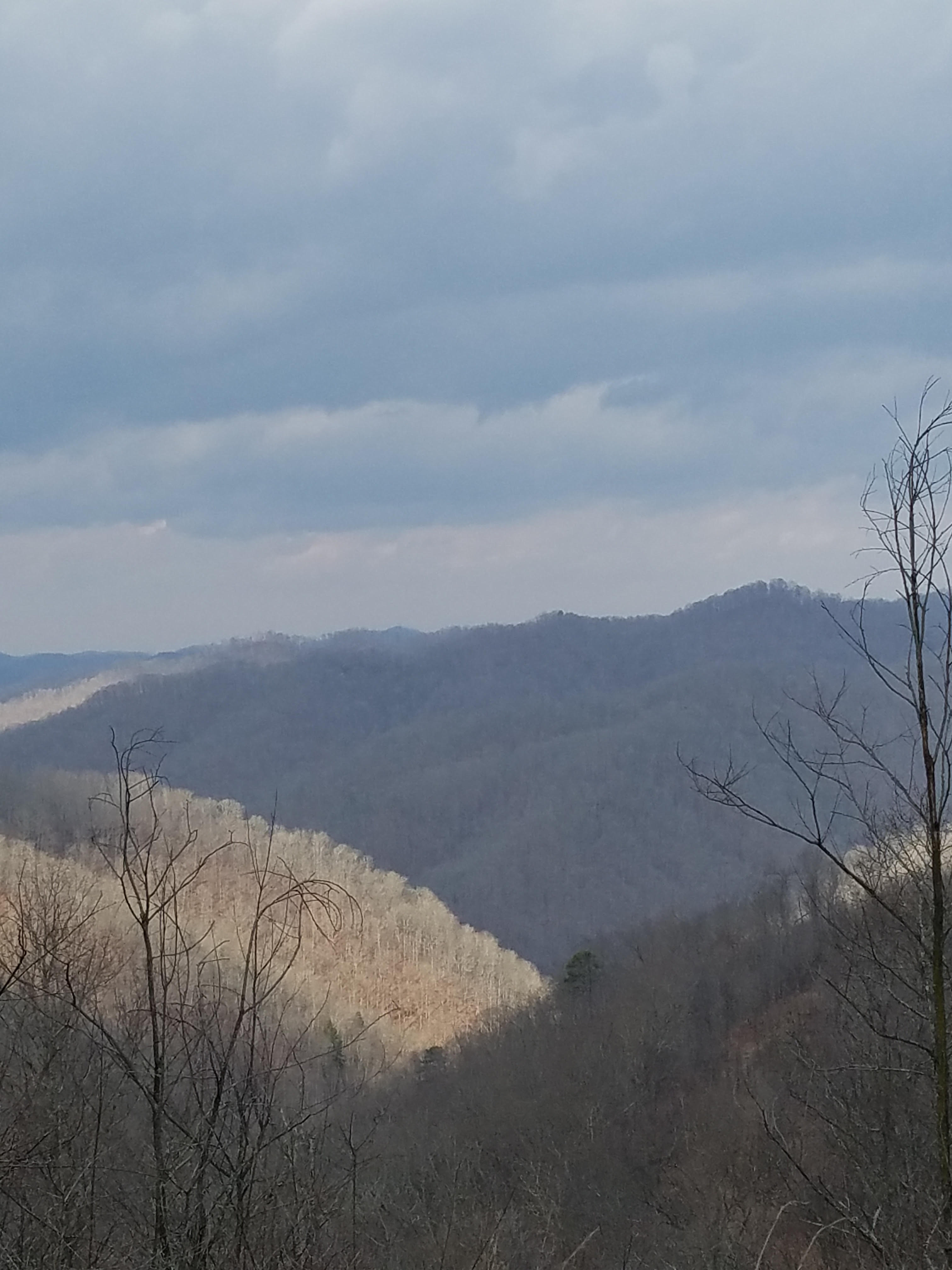 WTR 267 | Mix For Deer